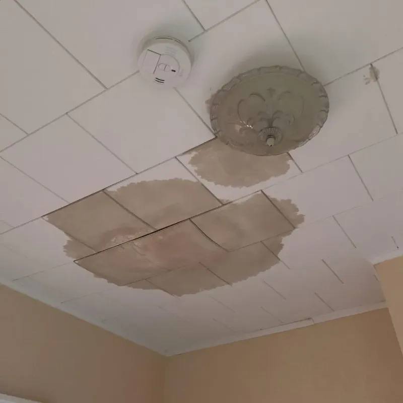 Ceiling Water Damage Repair in Conover, NC
