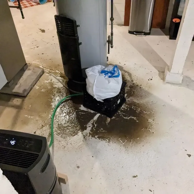 Sewage Backup Cleanup Service in Conover, NC